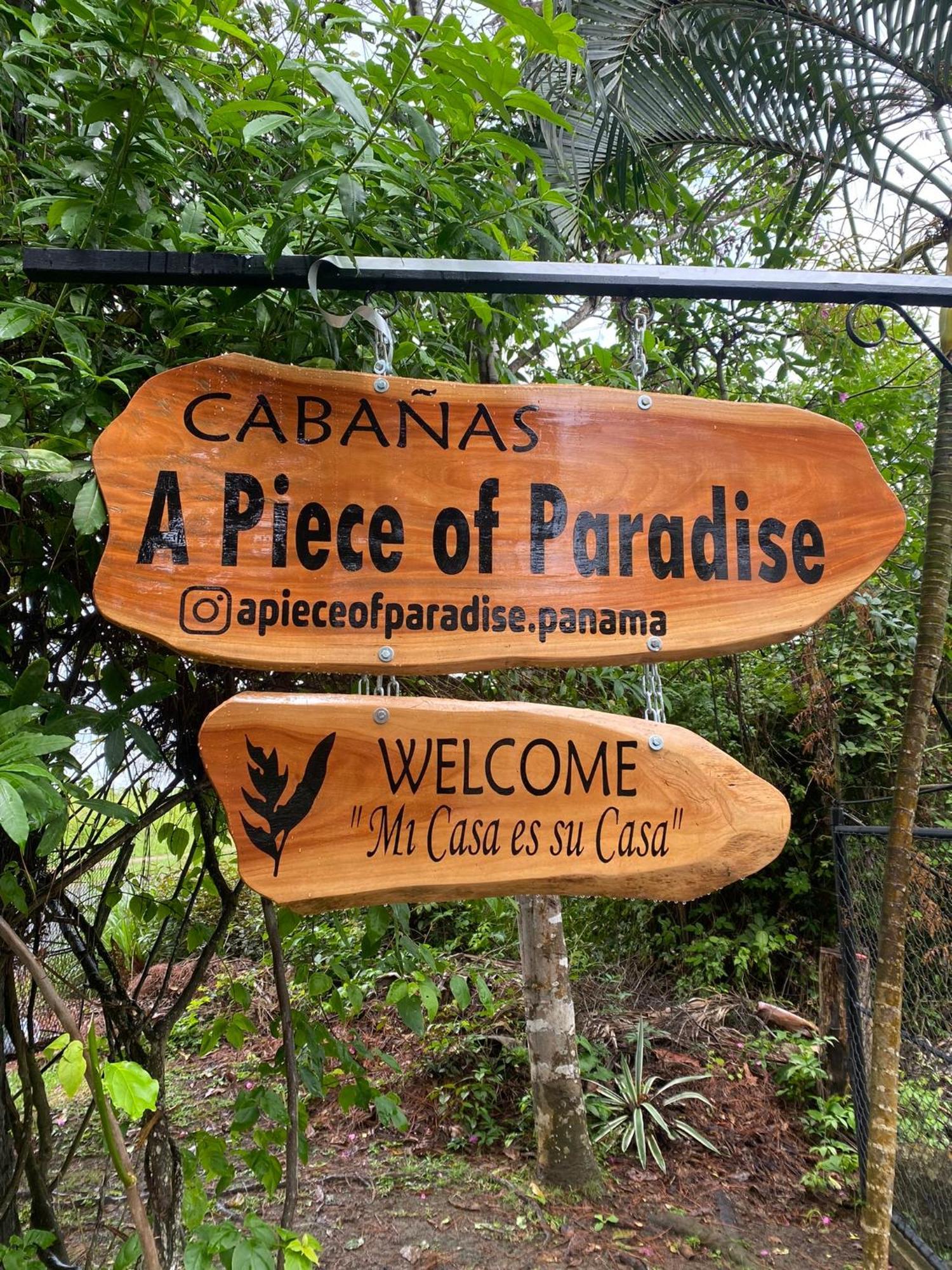 סן קרלוס A Piece Of Paradise מראה חיצוני תמונה